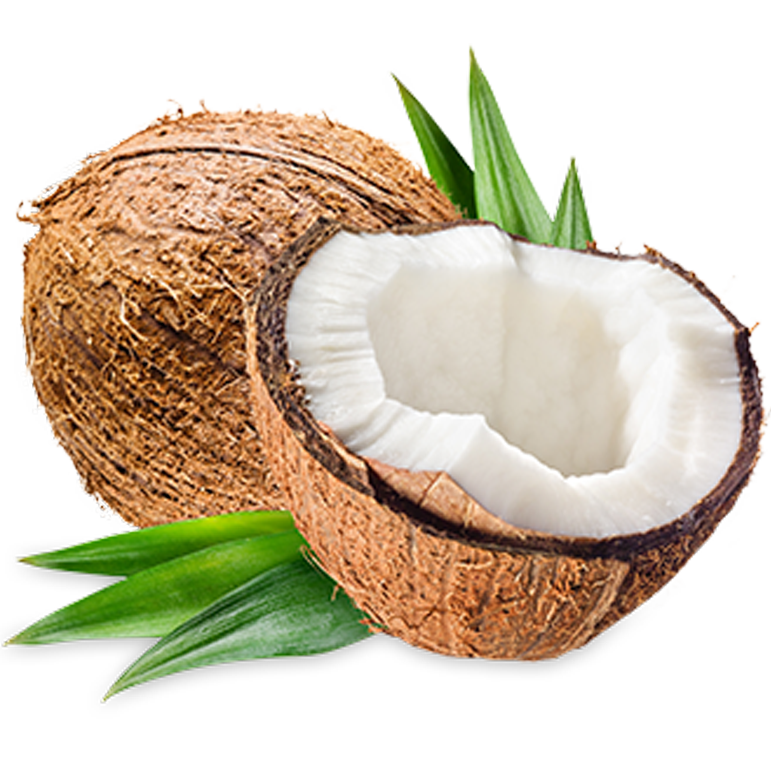 COCONUT